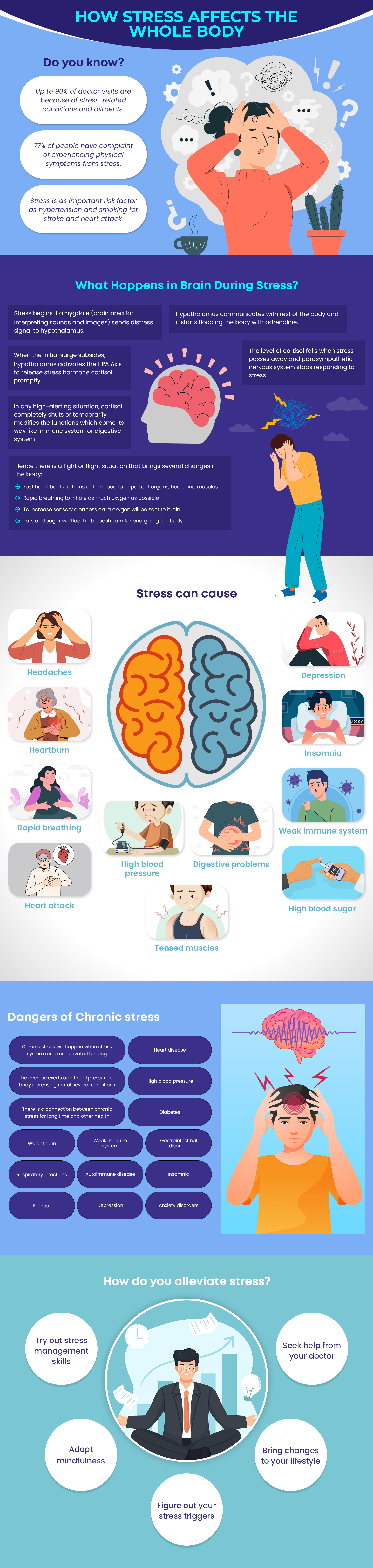 Affects of stress on Body infographics