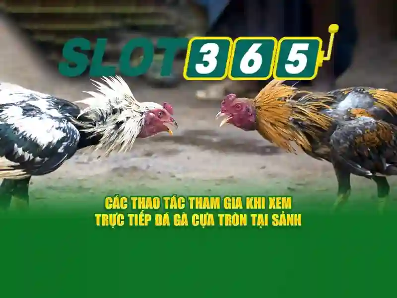 Tính năng nổi bật
