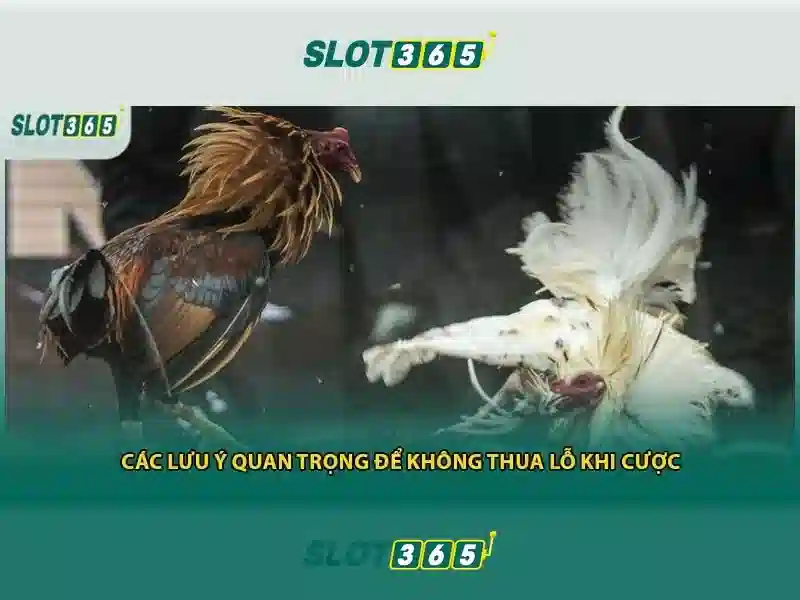 Mẹo chơi bắn cá 3 cây dễ ăn tiền nhà cái