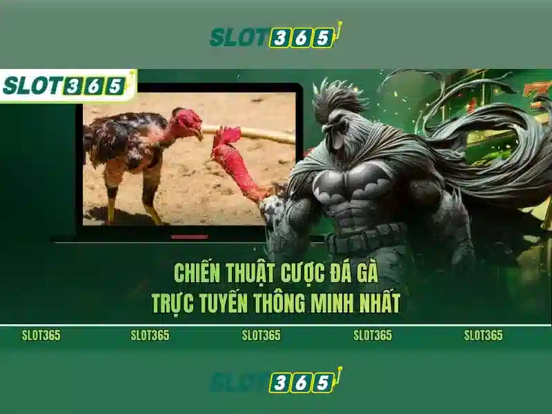 An toàn và giấy phép