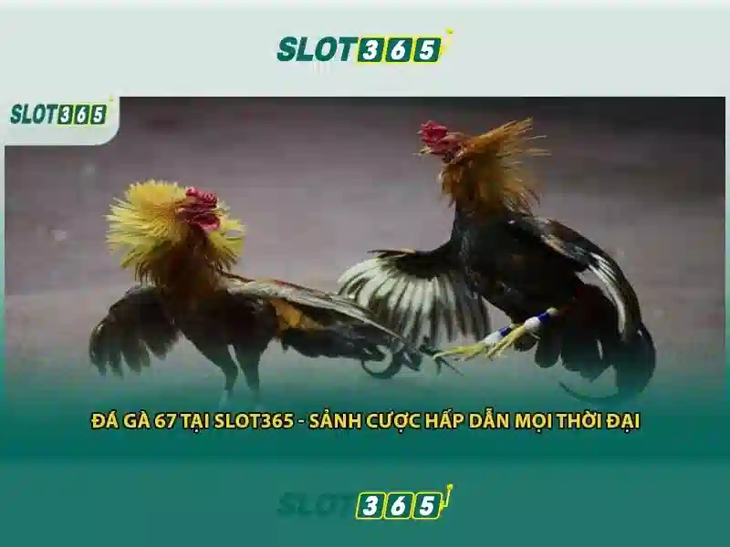 Mẹo chơi bắn cá 3 cây dễ ăn tiền nhà cái