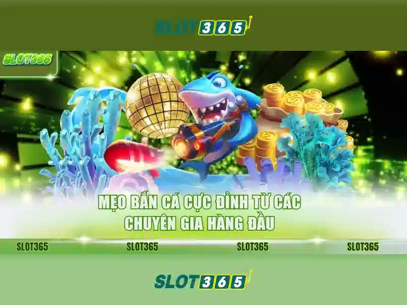 Slot365 - Nền tảng cá cược trực tuyến hiện đại