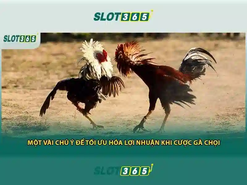 Mẹo chơi bắn cá 3 cây dễ ăn tiền nhà cái