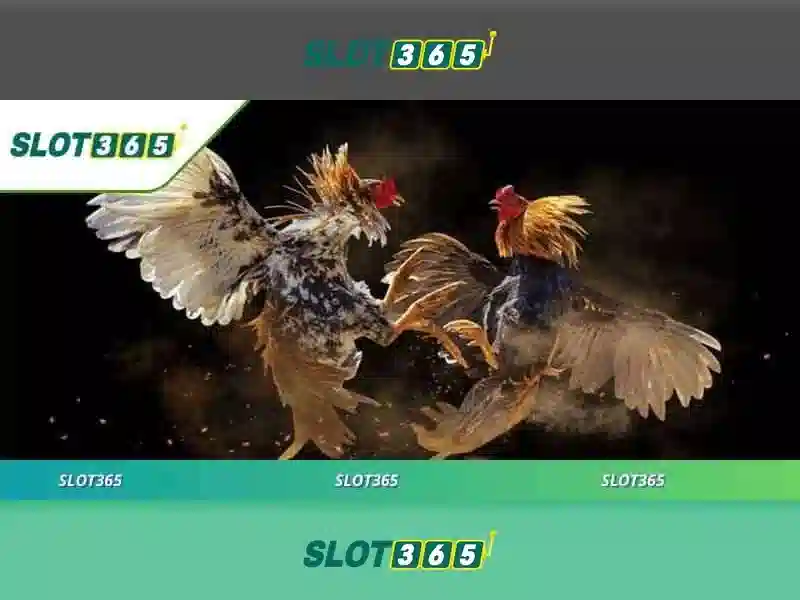 slot365 link alternatif – Tổng quan chủ đề và giá trị cốt lõi