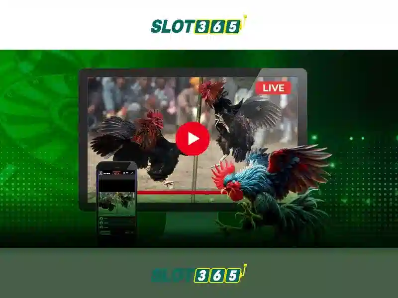 Mẹo chơi bắn cá 3 cây dễ ăn tiền nhà cái