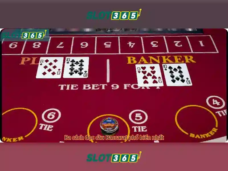 slot365_slot_tong_quan_va_gia_tri