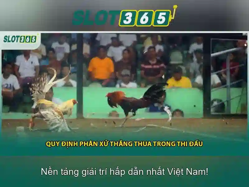 Tính năng nổi bật