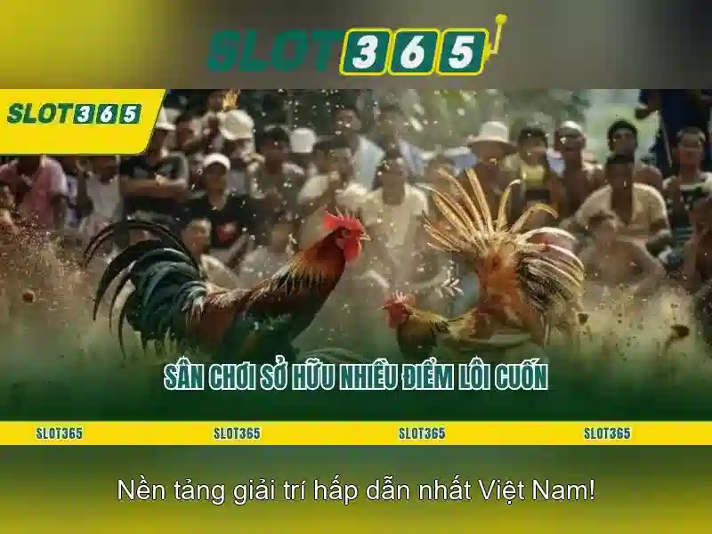 Giới thiệu về Slot365