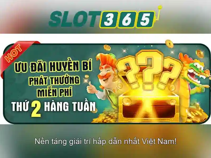 Hỗ trợ khách hàng và dịch vụ\n