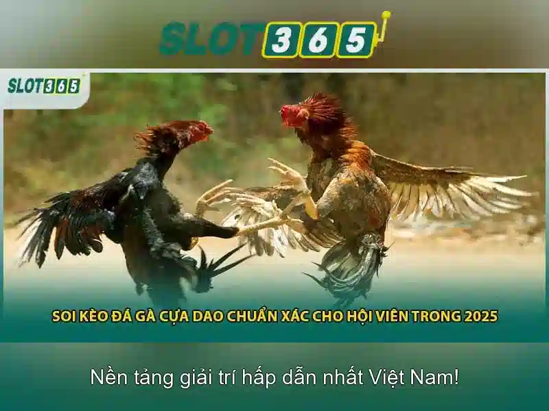 Cac tro choi co san tai Slot365