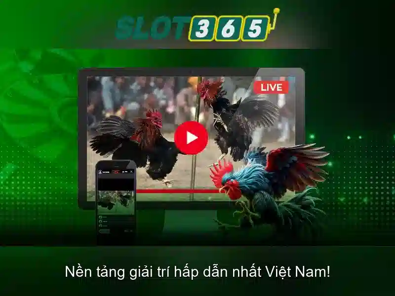 Slot365 là nền tảng slot trực tuyến uy tín và phổ biến