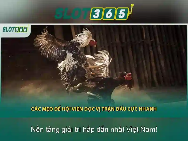 slot365 – Tổng quan chủ đề và giá trị cốt lõi