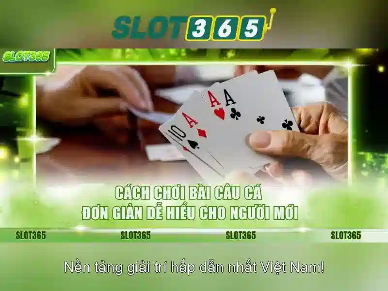 An toàn, thanh toán và hỗ trợ khách hàng