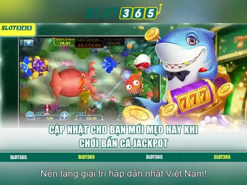 Khuyến mãi và chương trình hoàn trả