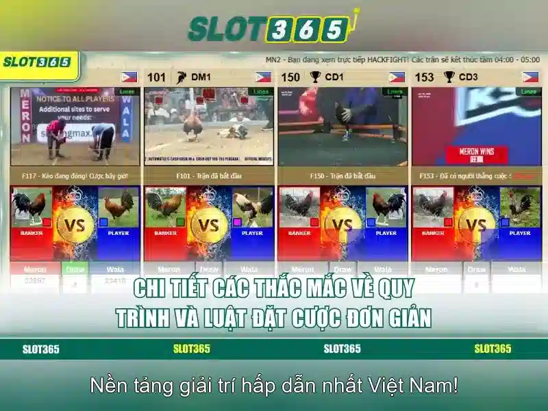 Các trò chơi và tính năng nổi bật