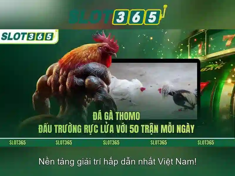 Cách hoạt động và danh mục trò chơi