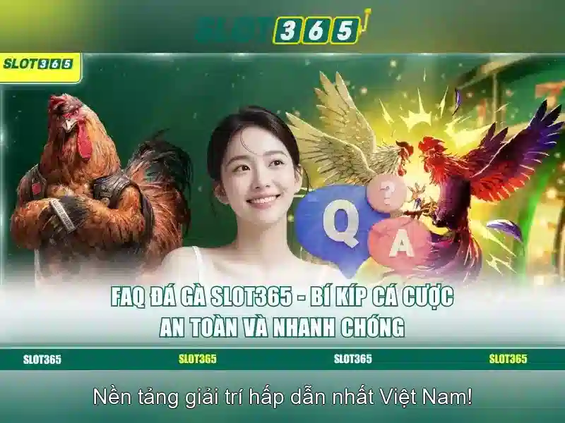 Lợi ích khi chơi trên Slot365
