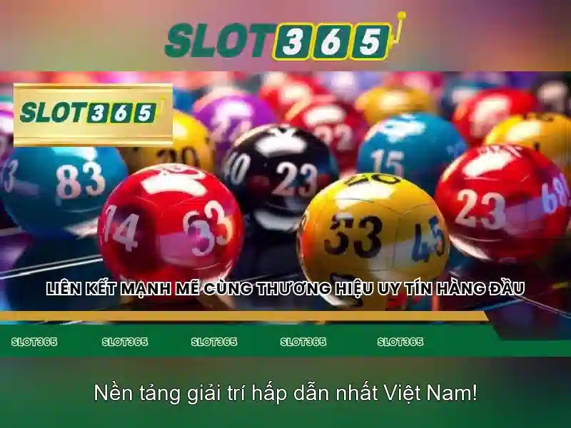 Trò chơi và nhà cái