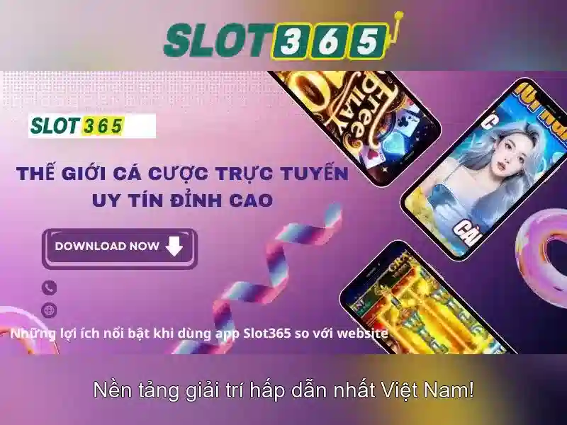 Trải nghiệm người dùng và tiền thưởng