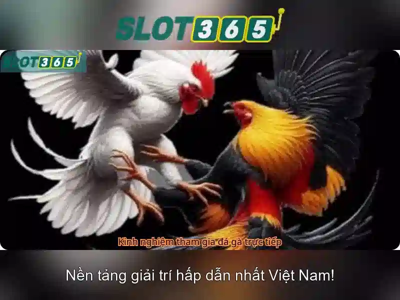 https t ly slot365 – Tra canh trang phan hoi