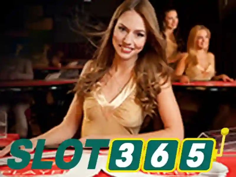 Slot365 là một nền tảng chơi slot trực tuyến