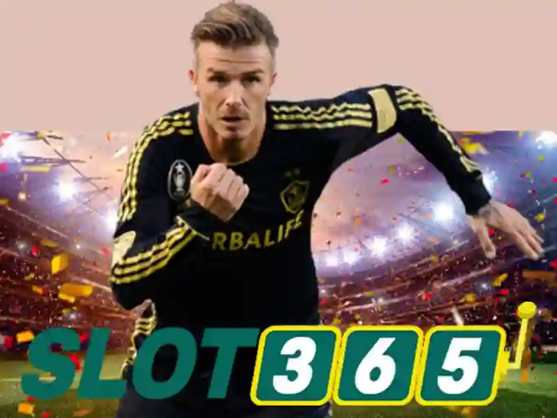 Hướng dẫn chơi Slot365 cho người mới<h>Kết luận</h><p><span style=