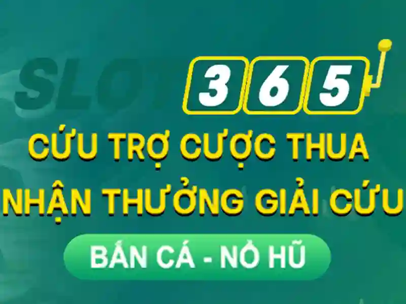Trải nghiệm di động mượt mà và tối ưu UX
