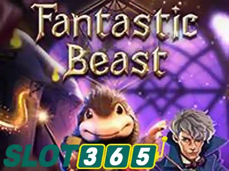 Slot365 là gì?