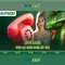 slot365. – Nền tảng đột phá cho trải nghiệm slot365