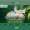 Slot365 - Tổng quan về nền tảng máy xèng trực tuyến