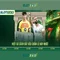 Slot365 là gì? Khám phá nền tảng slot trực tuyến hàng đầu