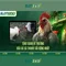 Slot365: Đánh giá và hướng dẫn chơi trò chơi slot trực tuyến