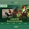 Slot365: Trải nghiệm trò chơi slots trực tuyến hàng đầu