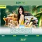 Slot365: Đánh giá tổng quan về nền tảng máy đánh bạc trực tuyến