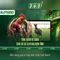 Slot365: Đánh giá và trải nghiệm khe trực tuyến