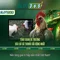 Slot365 - Nền tảng chơi slot trực tuyến hiện đại