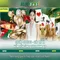 Slot365: Khám phá nền tảng slot trực tuyến an toàn và đa dạng
