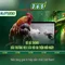Slot365: Đánh giá sòng bài trực tuyến và trò chơi quay số