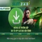 Slot365 - Tổng quan về nền tảng slot trực tuyến