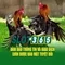 Slot365 - Trải nghiệm chơi slot trực tuyến hàng đầu