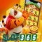 Slot365 chính thức: Hành trình thương hiệu và trải nghiệm người dùng